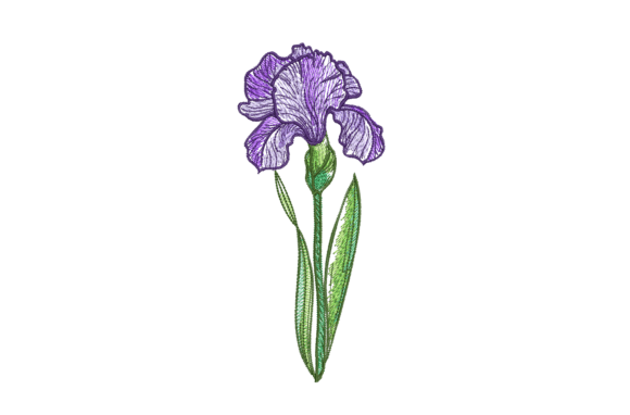 Iris Flower: A Seasonal Embroidery Design Review